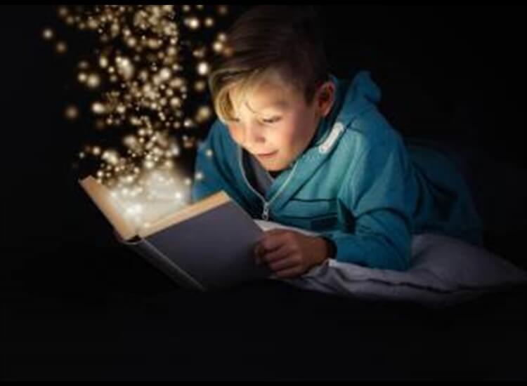 book subscription boxes and reading gifts